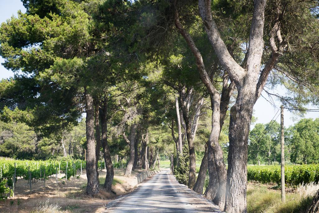 Chateau Canet Villa Rustiques Dış mekan fotoğraf