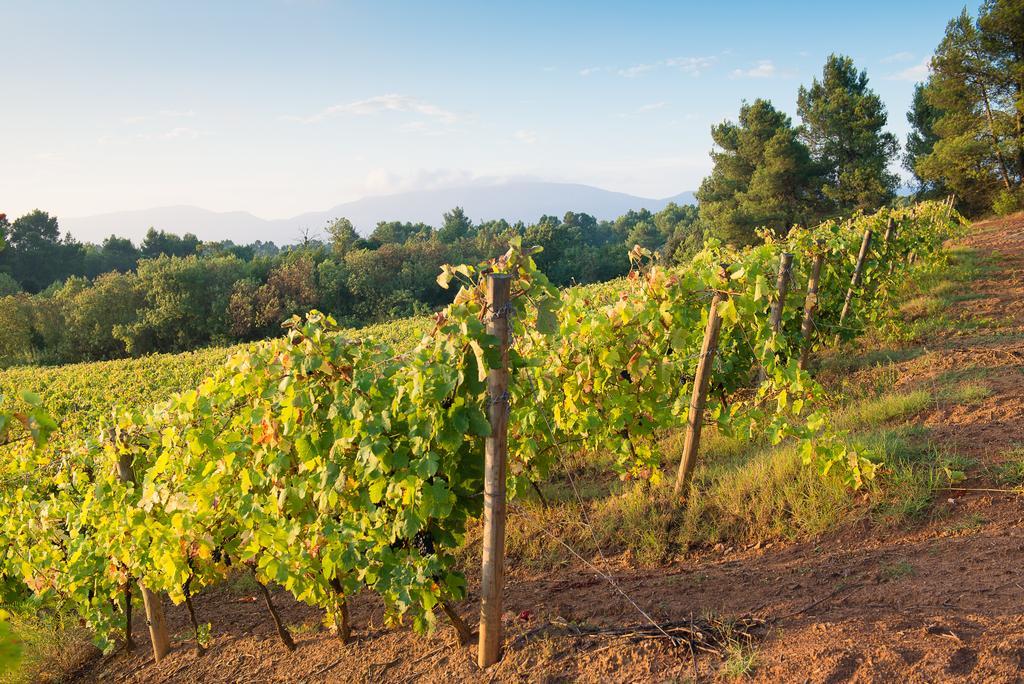 Chateau Canet Villa Rustiques Dış mekan fotoğraf