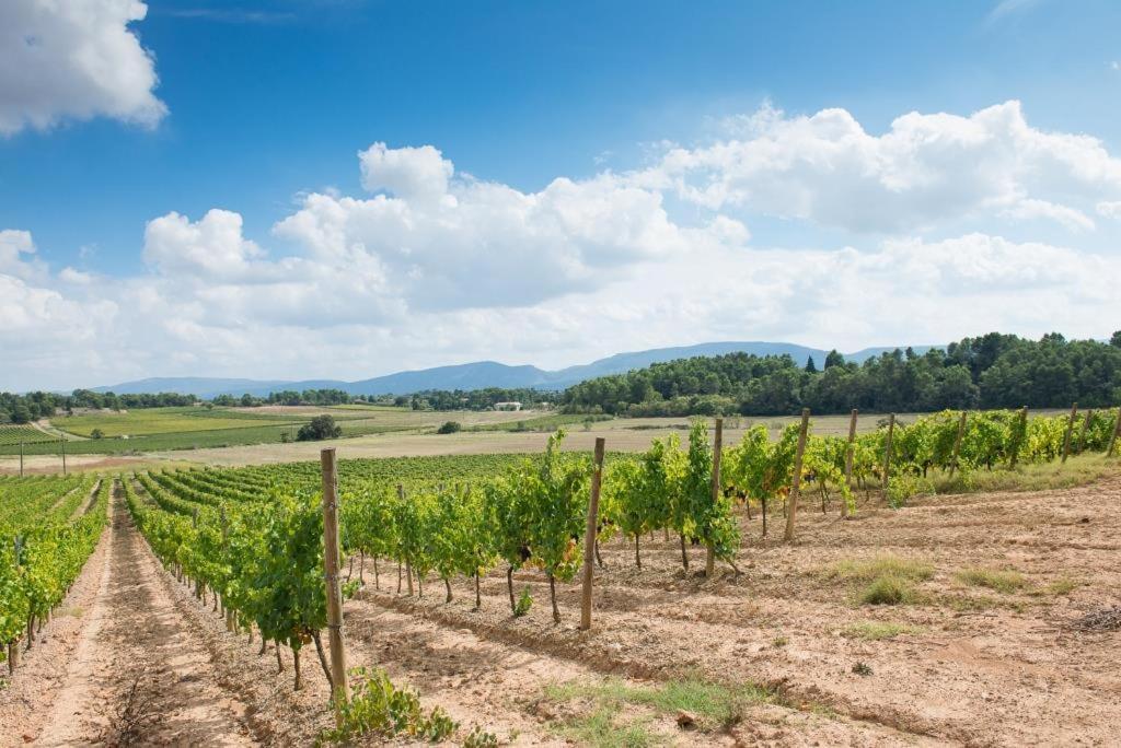 Chateau Canet Villa Rustiques Dış mekan fotoğraf